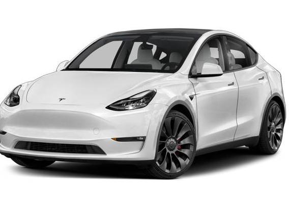 TESLA MODEL Y 2021 5YJYGDEE7MF095593 image